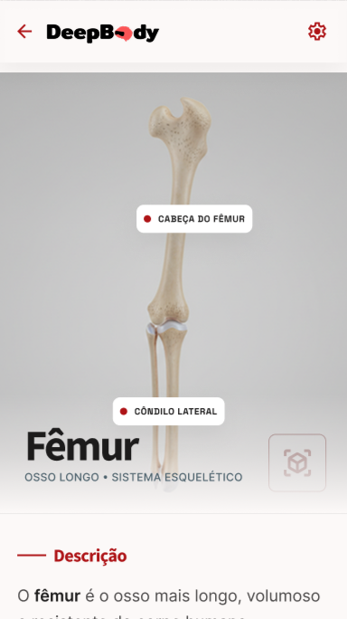 Detalhes da Estrutura